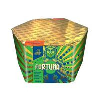 Fortuna 61s SFCM1761B  F3  2/1