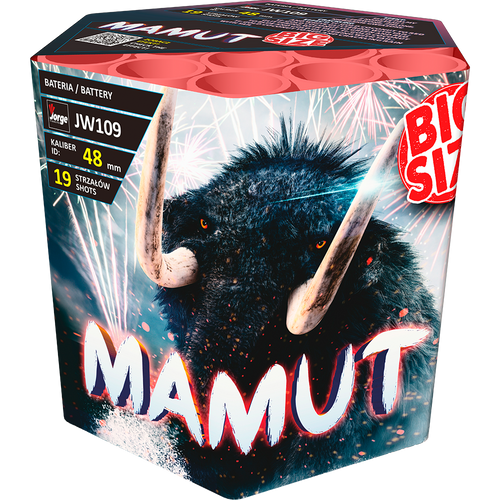 Pierwsze zdjęcie produktu