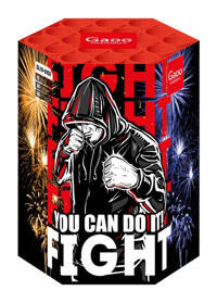FIGHT you can do it  SL19-01DI 19s  F2  8/1