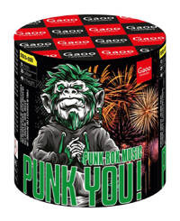 Punk You 13s SS13-02I  F2  9/1