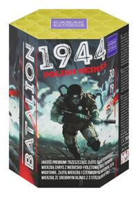 Batalion 1944 Polish Heroes 19s SL19-03D  F2  8/1