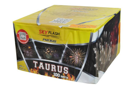 Taurus Sky Flash 100s PXB3610 F2 4/1