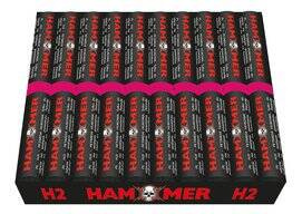Hammer SZA1b  H2-GTR  F3  75/20