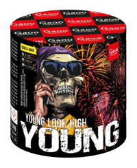 Young 13s SS13-04I  F2  9/1