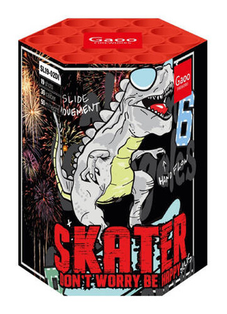 SKATER dont worry be happy SL19-02DI 19s  F2  8/1