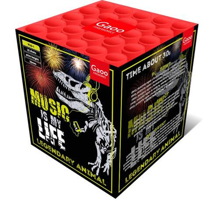 Music in my Life 25s  M25-1  F2  8/1