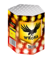 Wrona 19s TB33  F2  6/1